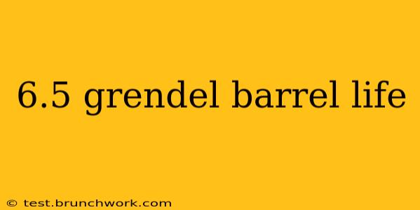 6.5 grendel barrel life
