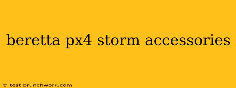 beretta px4 storm accessories