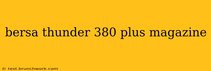 bersa thunder 380 plus magazine