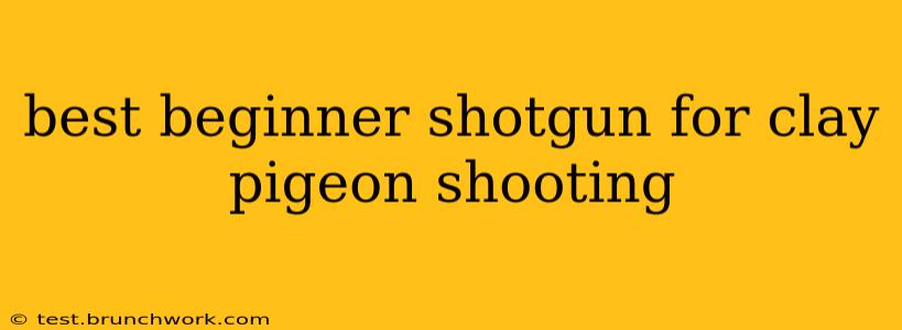 best beginner shotgun for clay pigeon shooting