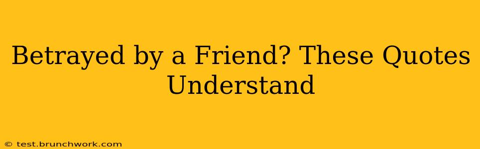 Betrayed by a Friend? These Quotes Understand