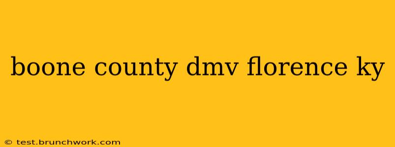 boone county dmv florence ky