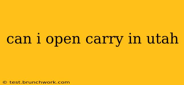can i open carry in utah