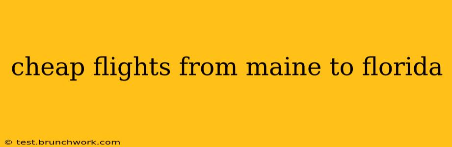 cheap flights from maine to florida