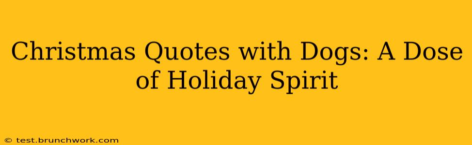 Christmas Quotes with Dogs: A Dose of Holiday Spirit