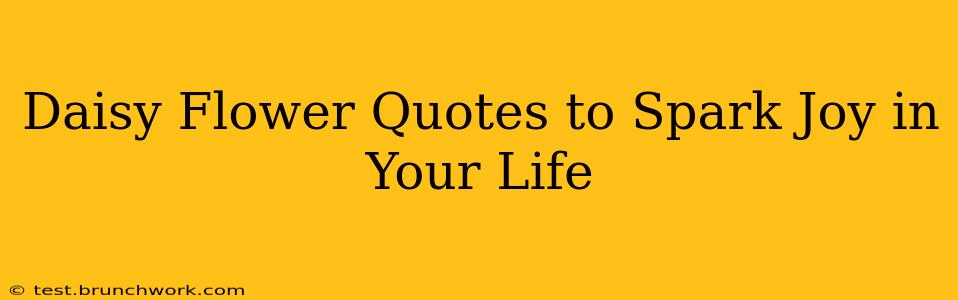 Daisy Flower Quotes to Spark Joy in Your Life