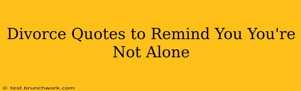 Divorce Quotes to Remind You You're Not Alone