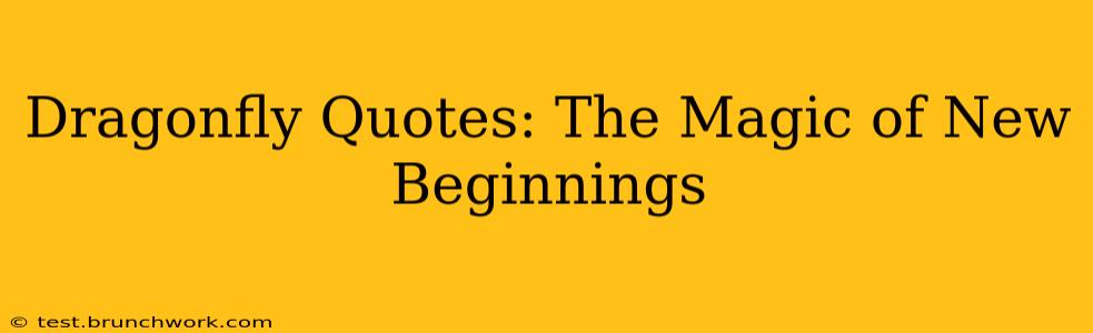 Dragonfly Quotes: The Magic of New Beginnings