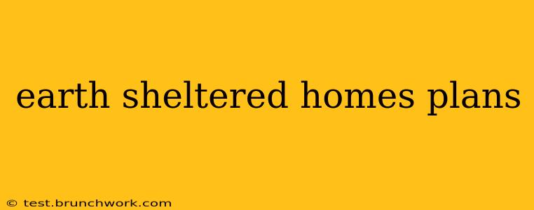 earth sheltered homes plans