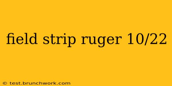 field strip ruger 10/22