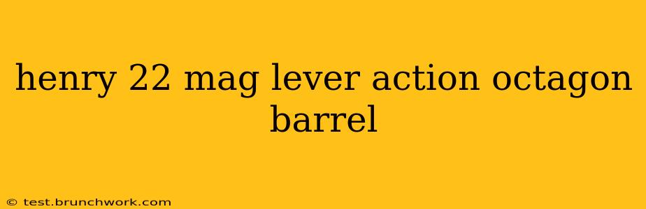 henry 22 mag lever action octagon barrel