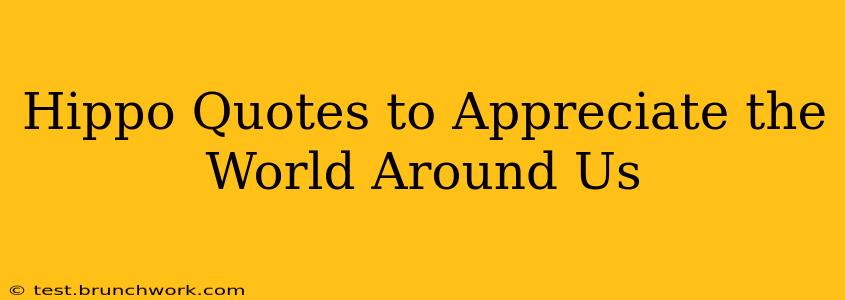 Hippo Quotes to Appreciate the World Around Us