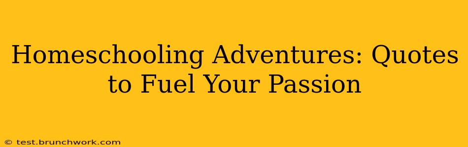 Homeschooling Adventures: Quotes to Fuel Your Passion