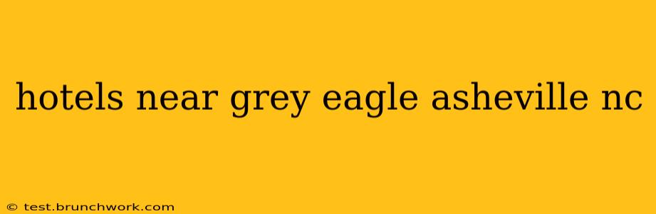 hotels near grey eagle asheville nc