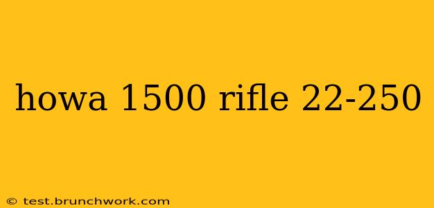 howa 1500 rifle 22-250
