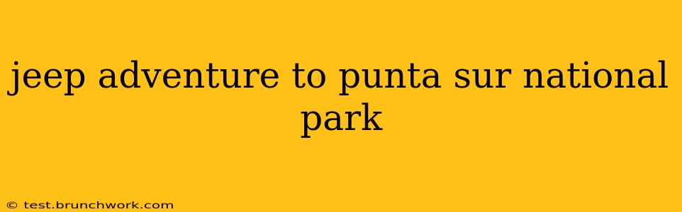jeep adventure to punta sur national park