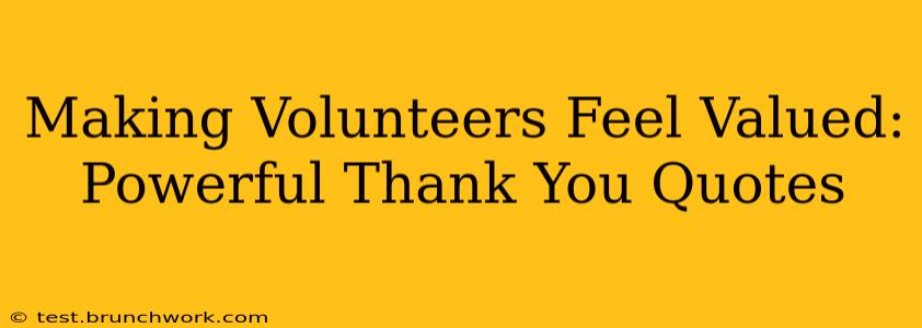 Making Volunteers Feel Valued: Powerful Thank You Quotes