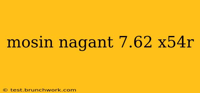 mosin nagant 7.62 x54r