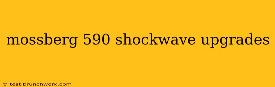 mossberg 590 shockwave upgrades