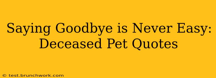 Saying Goodbye is Never Easy: Deceased Pet Quotes