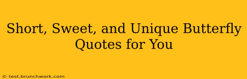 Short, Sweet, and Unique Butterfly Quotes for You