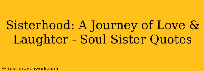 Sisterhood: A Journey of Love & Laughter - Soul Sister Quotes