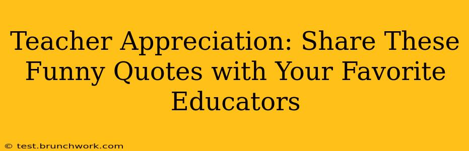 Teacher Appreciation: Share These Funny Quotes with Your Favorite Educators