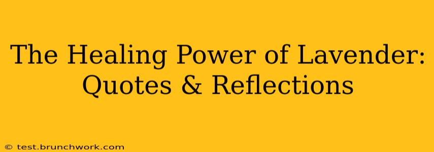 The Healing Power of Lavender: Quotes & Reflections