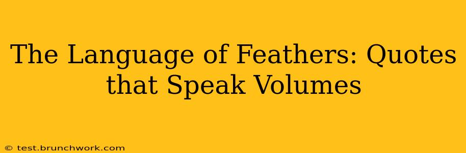 The Language of Feathers: Quotes that Speak Volumes