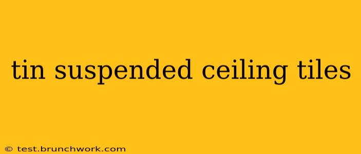 tin suspended ceiling tiles
