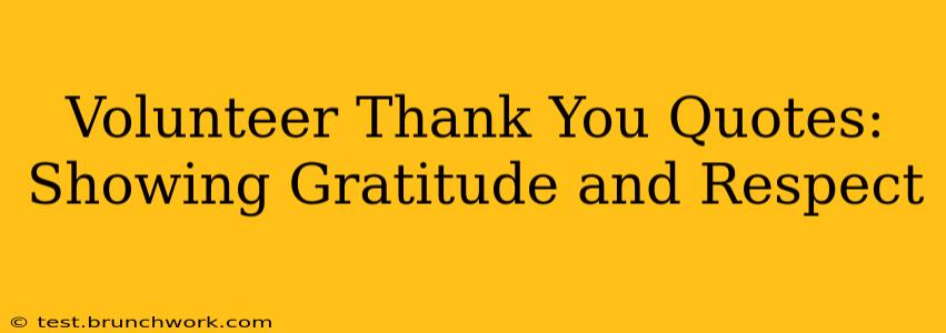 Volunteer Thank You Quotes: Showing Gratitude and Respect