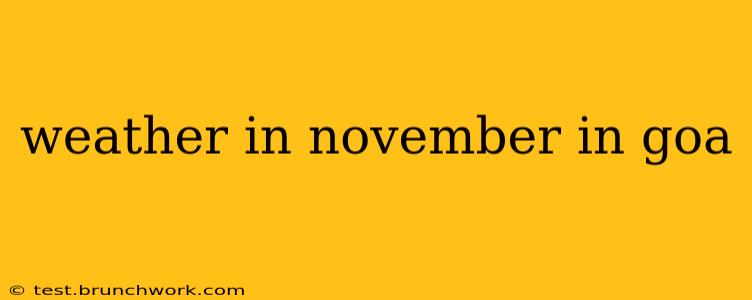weather in november in goa