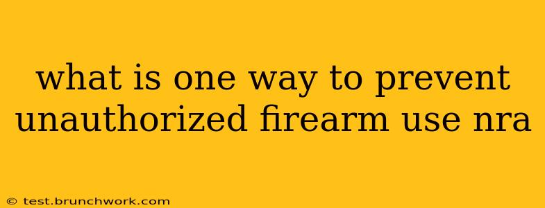 what is one way to prevent unauthorized firearm use nra