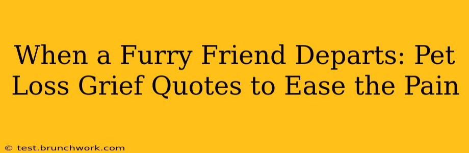 When a Furry Friend Departs: Pet Loss Grief Quotes to Ease the Pain