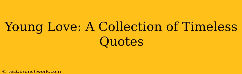 Young Love: A Collection of Timeless Quotes